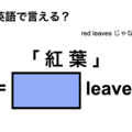 英語で「 紅 葉 」は何て言う？ 画像