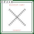 クイズです！「この図のスポーツ、挑戦したことありますか？」図を読み解きましょう【難易度LV２.・甘口】 画像