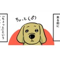 わが家のダックスフントは下半身麻痺。楽しく過ごして、気づけば上半身が…【小林一家は今日も「ま、いっか！」 #15】 画像