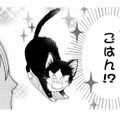 【猫視点】あの人間、よくわからないけど、ごはんをくれる言葉だけはわかる!! もっとちょうだ～い【同居人はひざ、時々、頭のうえ。 #21】 画像