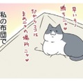 「たまらない」私の布団で昼寝してた愛猫。後に残ったほのかな温もりが至福のひととき【おさんぽですし！　おしゃべり犬とイライラ猫の日記 #32】 画像