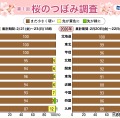 桜のつぼみ調査