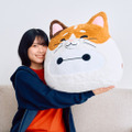 Last賞は全高50cmのネコをかぶったベイマックス！ちょんまげ＆着物姿の限定デザインも「ベイマックスくじ」第3弾が明日5月15日発売 画像