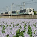 自作ダイヤで運行する臨時列車、スカイツリートレインに乗車