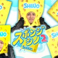 timelesz篠塚大輝、冠番組「スポンジ・シノ」カムバック 未公開シーン含む特別編配信も決定【スポンジ・シノ2】 画像