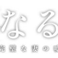 「親愛なる夫へ～完璧な妻の嘘～」