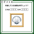 クイズです！「イラストを見てハテナに入る共通の言葉を考えましょう」ダジャレが得意な人には楽勝かも！【難易度LV.２・甘口】 画像