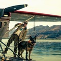 ブラッド・ピット主演、退役軍人と愛犬“バディ”のサバイバル描く『ハート・オブ・ビースト』9月全世界同時公開 ティザー予告解禁 画像