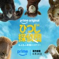「ひつじ探偵団」アマプラ配信開始 羊たちが殺害犯を追う前代未聞の迷宮ミステリー魅力5つ 画像