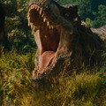 『ジュラシック・ワールド/復活の大地』© 2025 Universal Studios and Amblin Entertainment, Inc. All Rights Reserved.