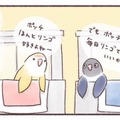隣同士のケージで暮らす2羽のインコ。一体どんな会話をしているの？【うちのインコたちは今日もおしゃべり #２】 画像