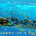 【夏休み2026】横浜で沖縄の海を体験、つるみ・ちゅらうみサマースクール8/8-9 画像