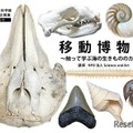 特別体験展示 移動博物館～さわって学ぶ海の生きもののカタチ