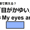 英語で「目がかゆい」は何て言う？ 画像