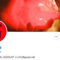 ロックバンド・GEZAN、メンバーが性加害「被害者の方に多大な苦痛と傷を負わせてしまいました」一定期間活動休止を発表【全文】 画像