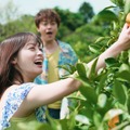 「バカンスの法則」(C)AbemaTV, Inc.