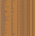 国際情報オリンピック（IOI2026）：銅メダル（一部抜粋）