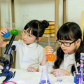 【夏休み2026】化学・物理・生物・地学関連、東大流の科学実験で自由研究 画像