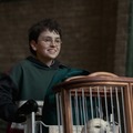 「ハリー・ポッター」新ドラマシリーズ、Huluで配信決定 日本テレビ×ワーナーブラザース・ディスカバリーがグローバル・パートナーシップ締結 画像