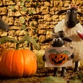 『映画 ひつじのショーン かぼちゃ畑の怪物！』© 2026 / AARDMAN ANIMATIONS Ltd - All Rights Reserved