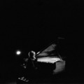 【入場無料】坂本龍一『Opus』野外上映会、10月10日に東京・駒沢公園で開催 画像