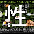 国立科学博物館、初の“性”テーマの特別展「生きものたちの性」人気クリエイターともタッグ 画像