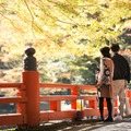 40代彼女に「頼むから離れて歩いてくれないかな」と言いかけた！秋のデートで絶対NGなコーデって？ 画像