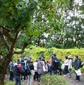過去のイベントのようす