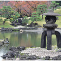 園内風景(2025年11月のようす)