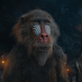 『ライオン・キング:ムファサ』© 2024 Disney Enterprises, Inc.