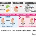 父親の高齢化による脳遺伝子発現に性差…東北大がマウス研究 画像