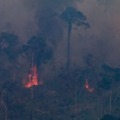 ブラジルの森林火災で試合が中断！「火が見える」衝撃映像がこれ 画像