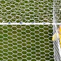 GKがゴールネットに突き刺さる！ELでの「衝撃シーン」がこれ