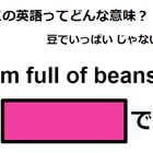 この英語ってどんな意味？「I’m full of beans.」 画像