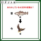 クイズです！イラストから言葉を考えてね。ジョークのセンスも問われるかも【難易度LV２.・甘口】 画像