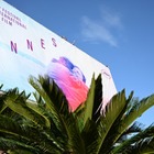 「カンヌ映画祭」倒木事故、負傷の日本人男性は状態安定 映画「見はらし世代」制作会社がコメント 画像