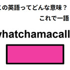 この英語ってどんな意味？「whatchamacallit」 画像