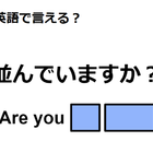 英語で「並んでいますか？」はなんて言う？ 画像