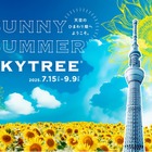 東京スカイツリー“天空のひまわり畑”テーマのイベント初開催＜SUNNY SUMMER SKYTREE（R）＞ 画像
