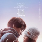 宮沢氷魚＆石井杏奈＆宮近海斗『楓』に出演、スピッツの名曲が紡ぐ本予告解禁 画像
