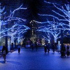 横浜最大級イルミ「ヨコハマミライト2025」街一帯を彩るサスティナブルな光と多彩な連動イベント 画像