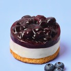 【スタバ新作】スタバ、日本上陸30周年 春を彩るフード5種登場 画像