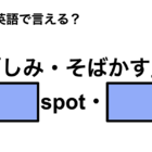 英語で「しみ・そばかす」は何て言う？ 画像