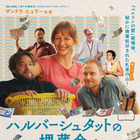 「ベルリンの壁」崩壊後、400トンの東ドイツ紙幣が消えた…？ザンドラ・ヒュラー主演『ハルバーシュタットの埋蔵金』9月4日公開 画像