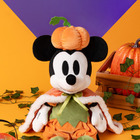 Last賞はミッキーお座りぬいぐるみ！ハロウィン衣装のディズニーキャラクター大集合、Happyくじ「Disney ハロウィン 2026」 画像