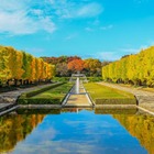 昭和記念公園で「黄葉・紅葉まつり＆秋の夜散歩2026」開催 光と音楽の演出も息をのむ美しさ 画像