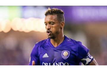 33歳ナニ、超マッチョ化！鋼のような筋肉がこれ 画像