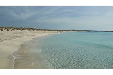 セティエン監督の息子「全裸で過ごせるリゾート島のクラブ」に加入 画像