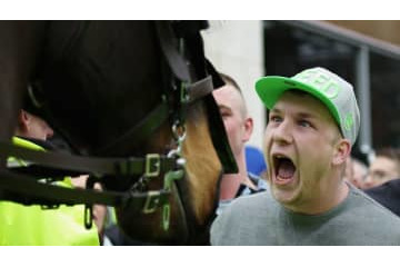 ニューカッスルサポにブン殴られた馬、死去する 画像