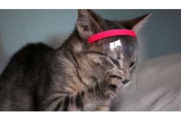 怪盗「キャット」「ジェット・リー」…PSG選手らの家に侵入した窃盗団が裁判に 画像